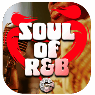 template radio station logo with logo soul
